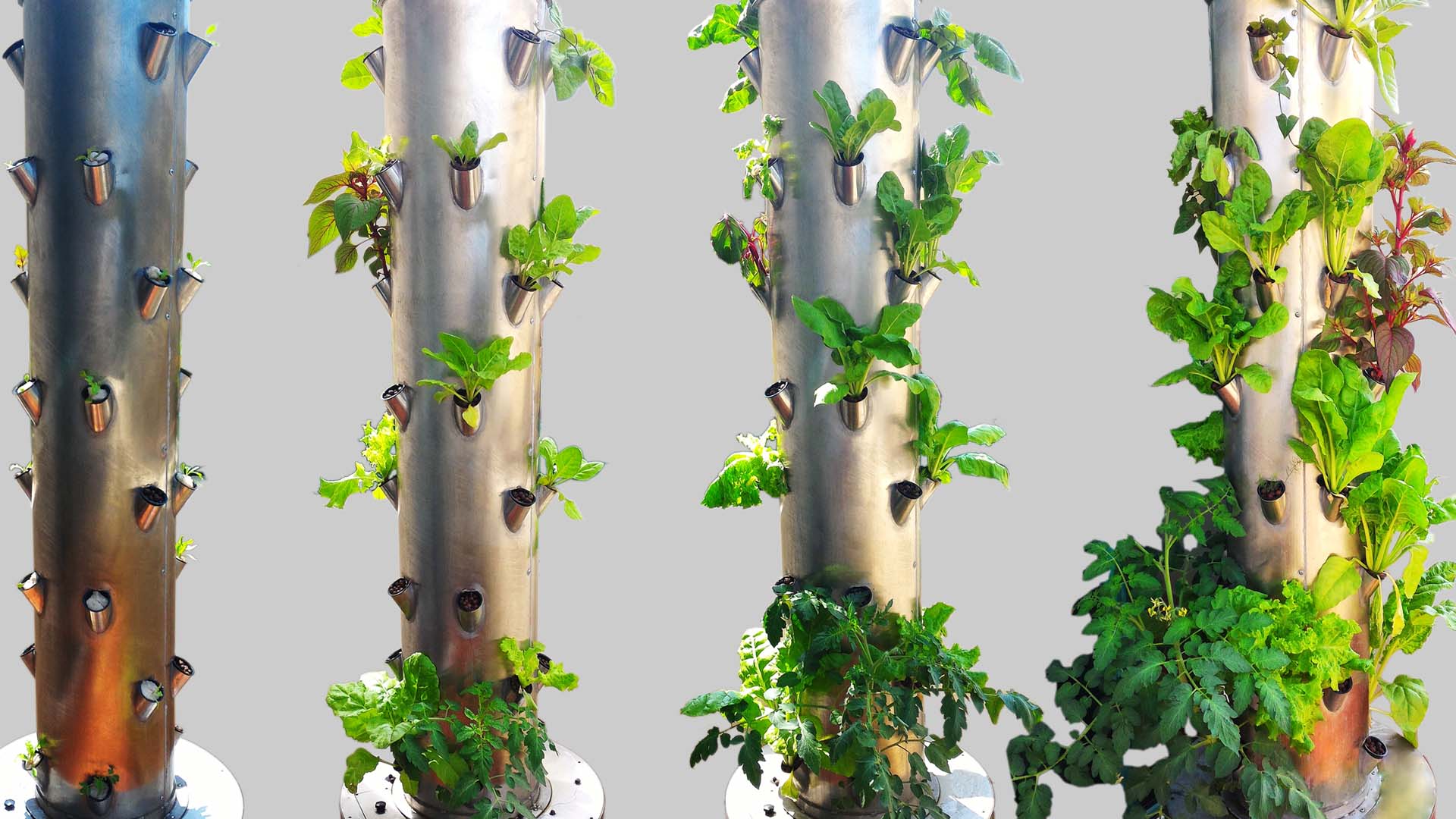 Macsxperts Aeroponics, Hydroponics Farming Solutions in Bengaluru