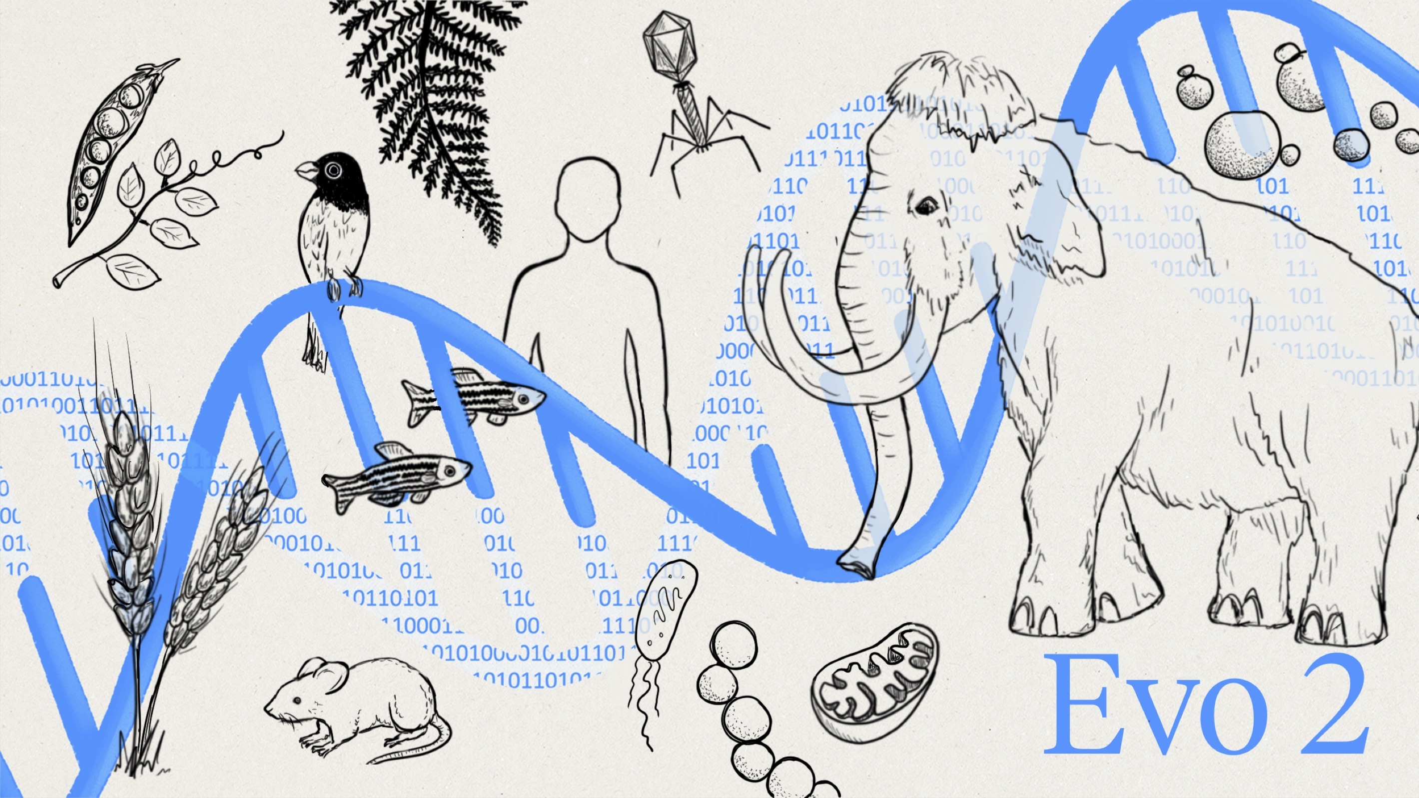 Evo 2 프로젝트 개요 — 생명의 모든 도메인에 걸친 게놈 모델링 및 설계를 위한 DNA 파운데이션 모델