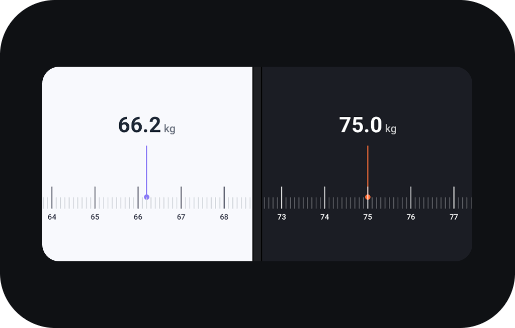 WeightScalePicker Preview