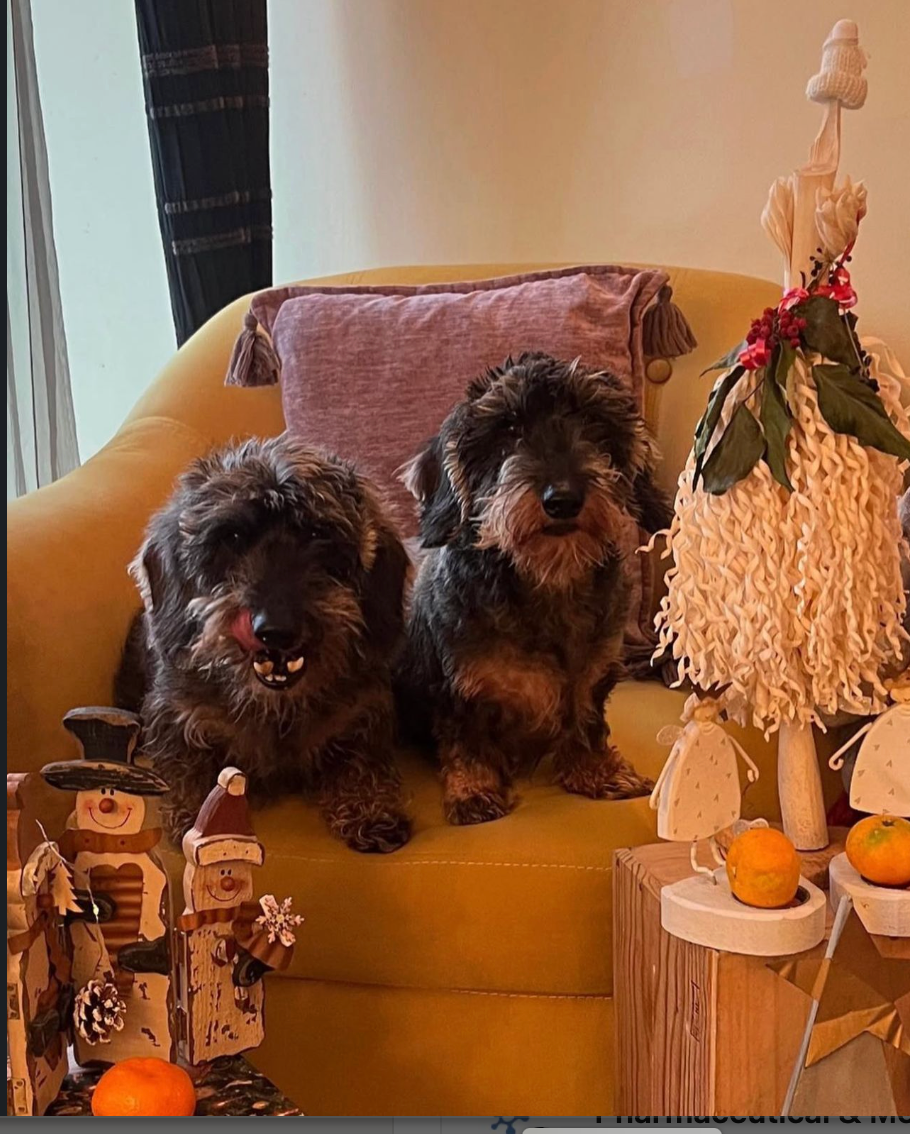 Rem and Eva, BHOC Friends, including Rem the wire-haired dachshund