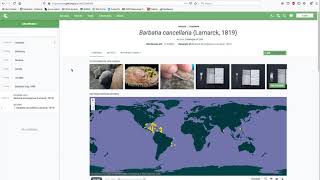 YouTube: How To Find and Update Specimen Records with Invalid Scientific Names - Invertebrate Focus)
