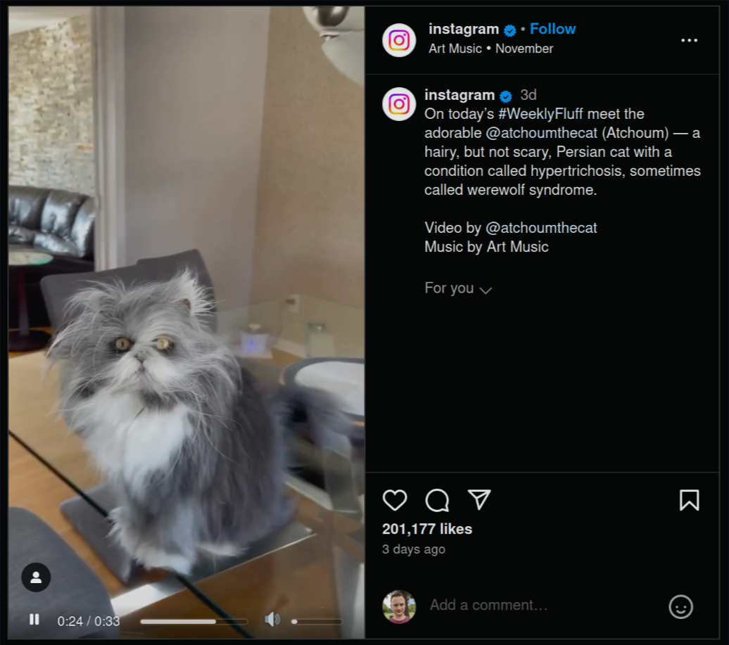 Screenshot of an Instagram video where the native Html video control is visible