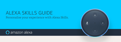 Alexa skill