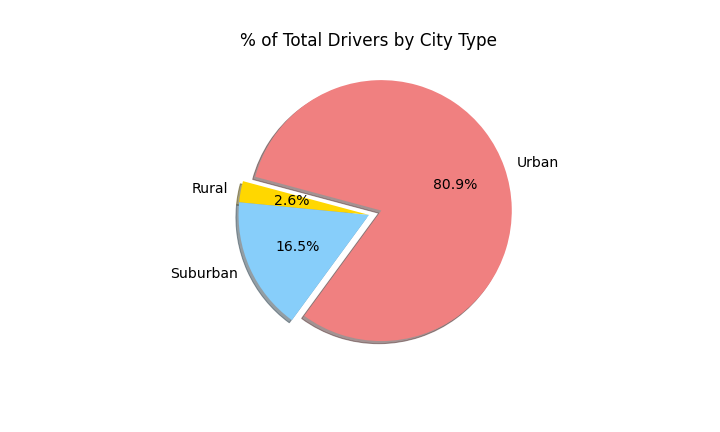 Percent of Total Drivers by City Type