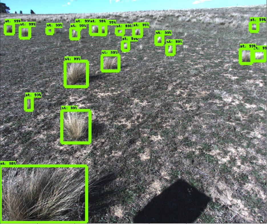 example detection