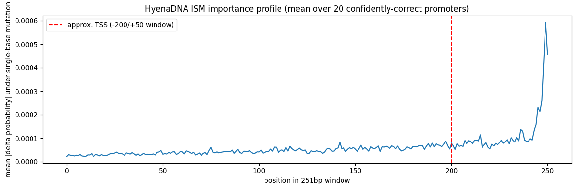 ISM importance profile, mean over 20 confidently-correct promoters