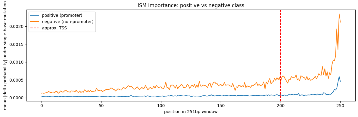 ISM importance, positive vs negative class