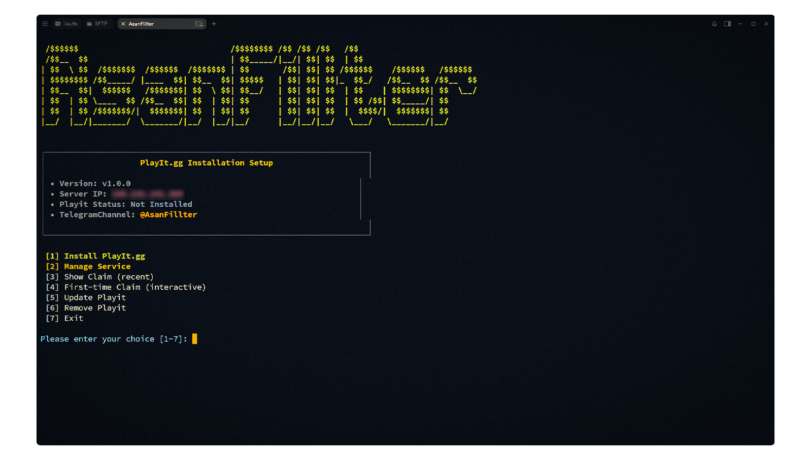 Playit Launcher Interface