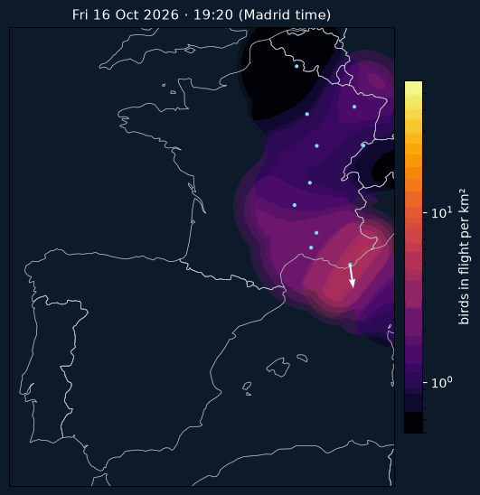 Animation of the density of birds in flight and their heading over Iberia and France on the night of 16 October 2026