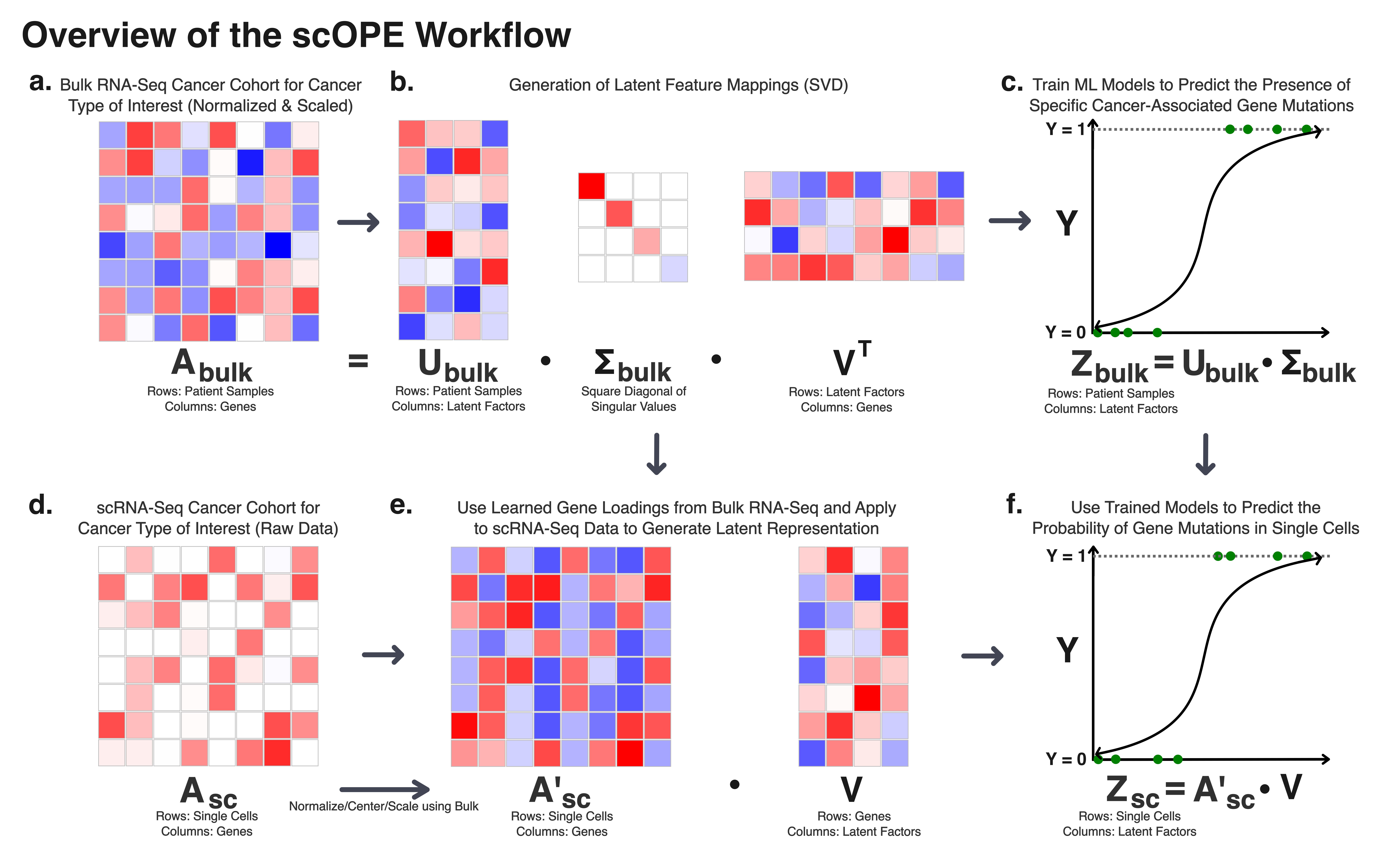 scOPE transfer-learning method overview