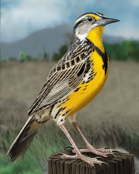 Lark