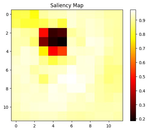 Saliency Map