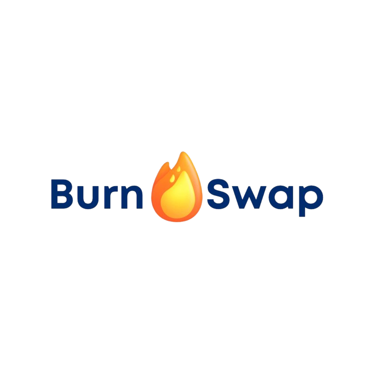 BurnSwap logo