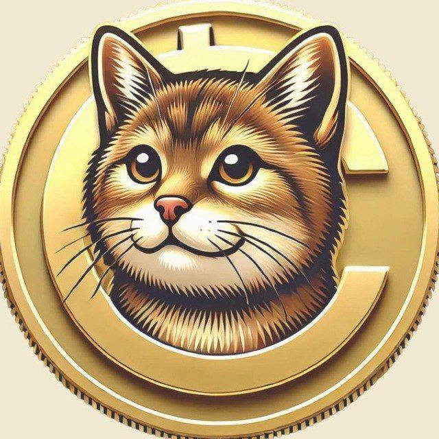 CATE logo