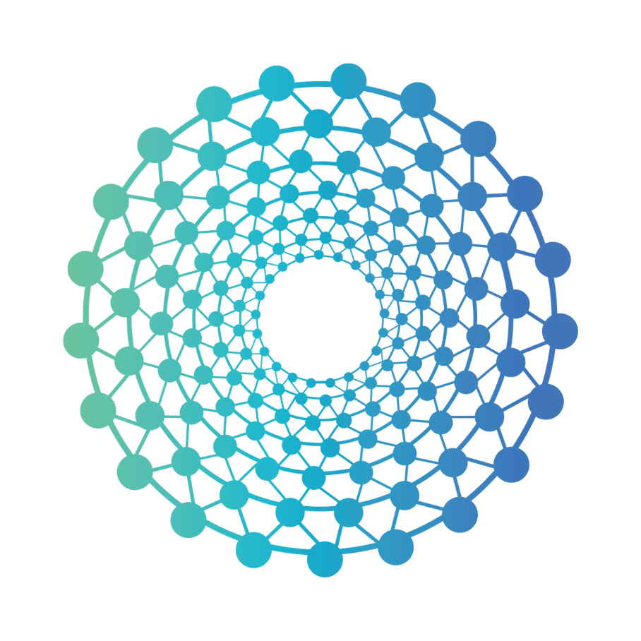 LAN Network logo