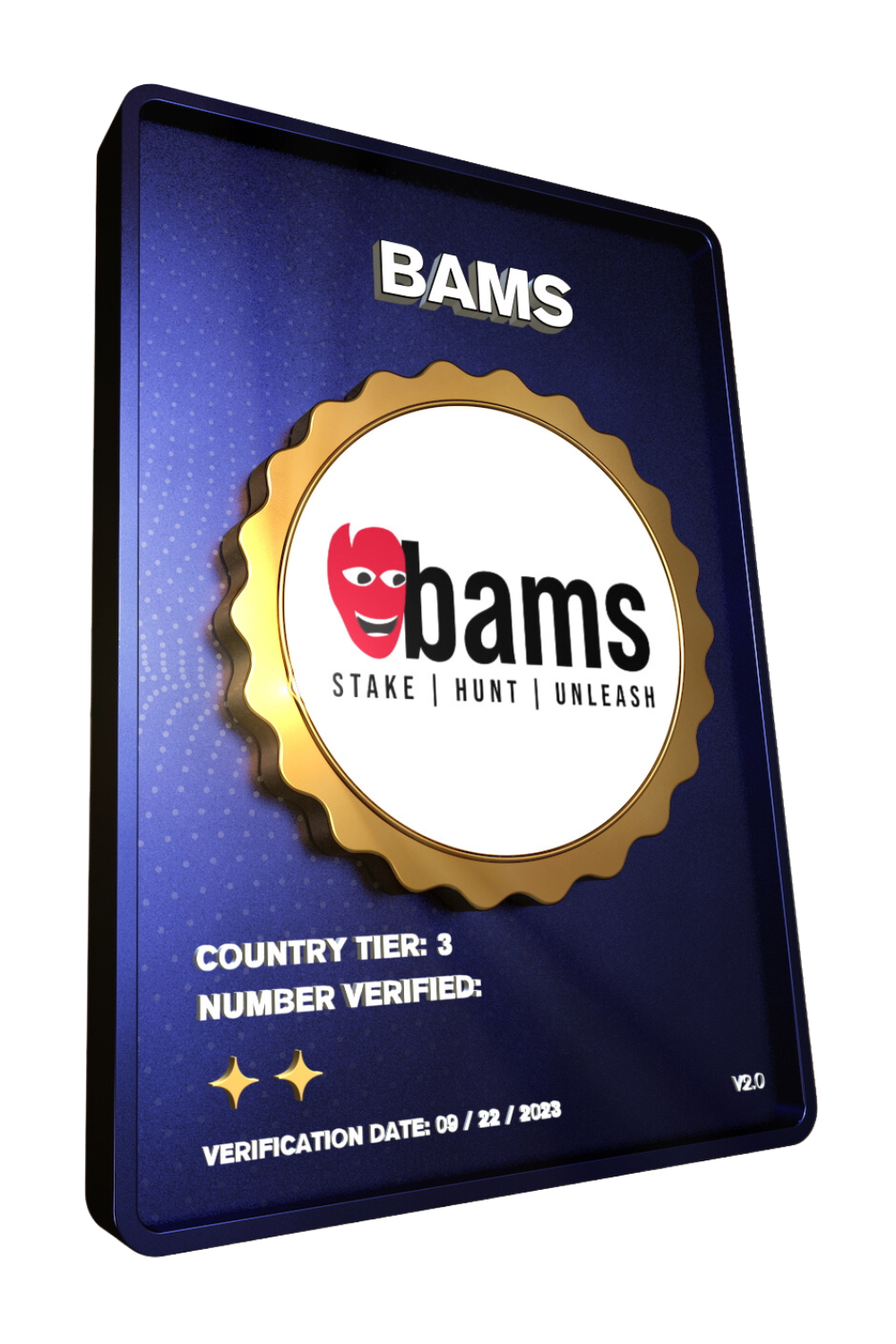 BAMS verification NFT