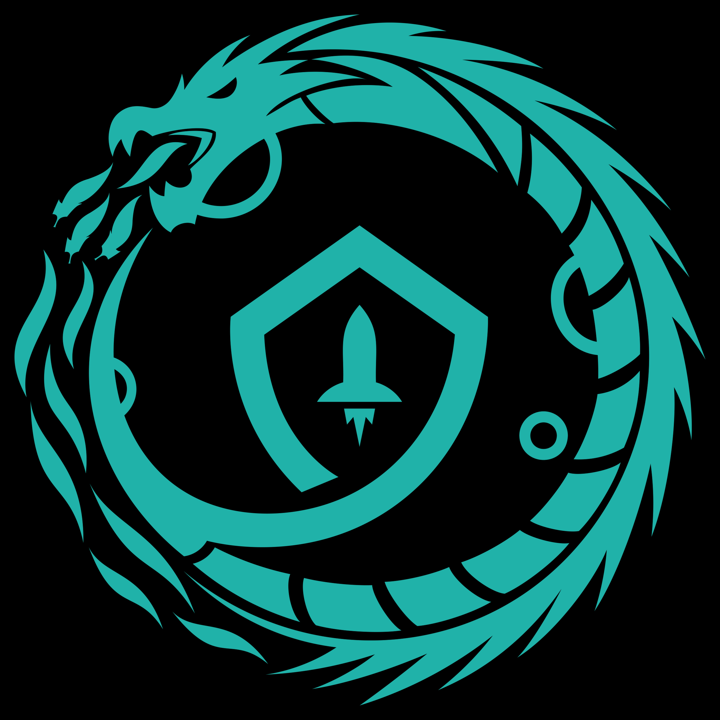 Operation Phoenix verification NFT