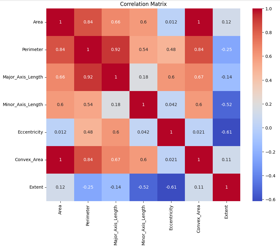 GitHub - Astraeven0502/CSE151A_Group_Project-Rice_Classification