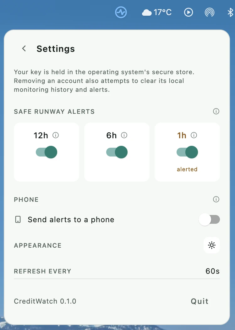The settings pane showing three runway alert thresholds side by side as switches, a phone alert toggle, and appearance as a single icon