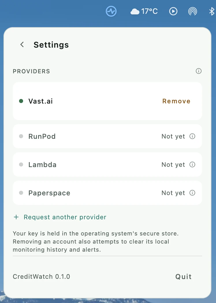 The settings pane listing Vast.ai as connected, with RunPod, Lambda and Paperspace marked as not yet supported