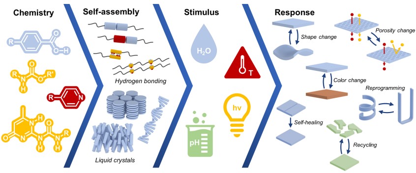 Stimuli-responsive liquid crystal polymers properties