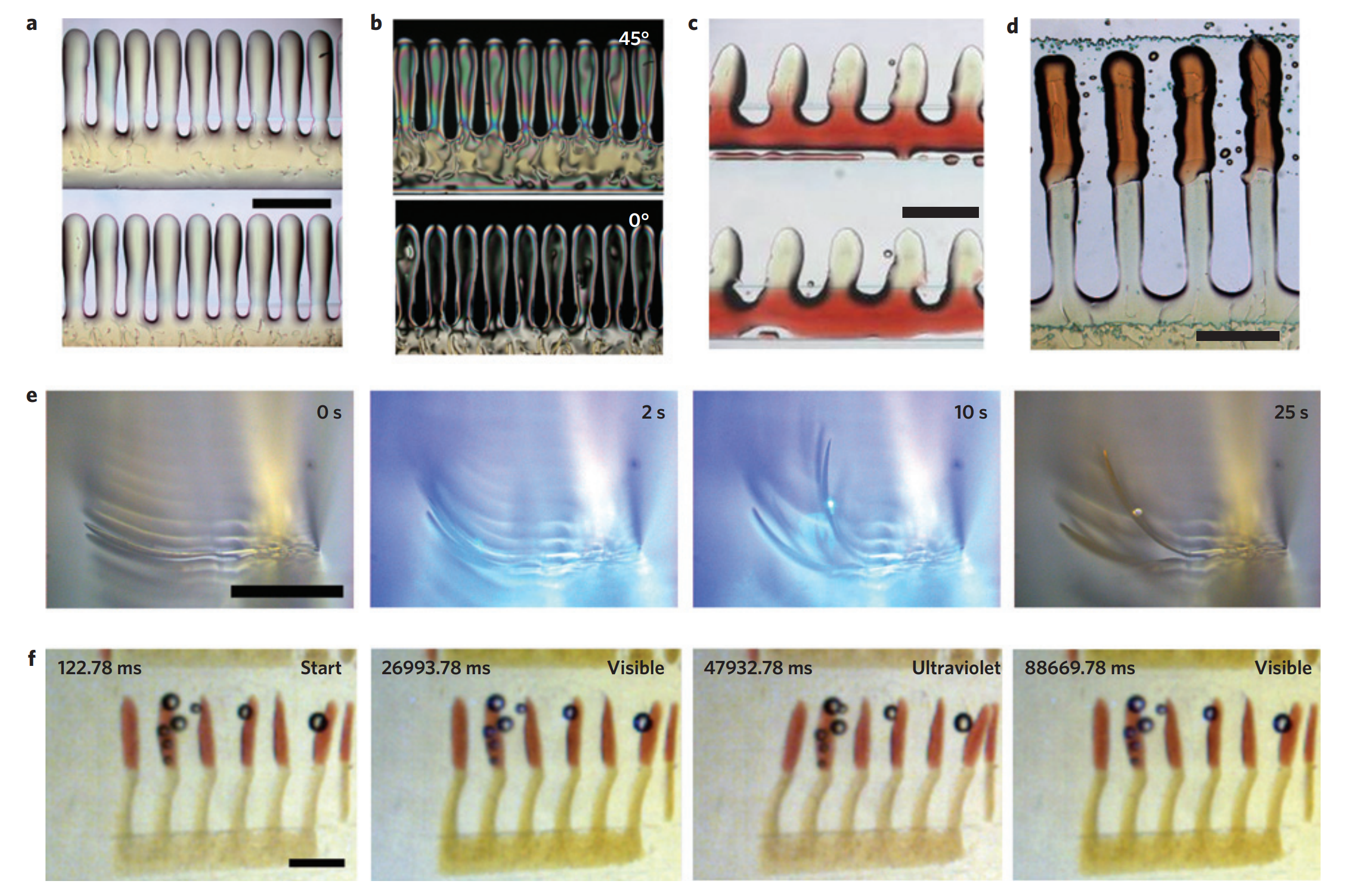 Response of the microstructured cilia to different light