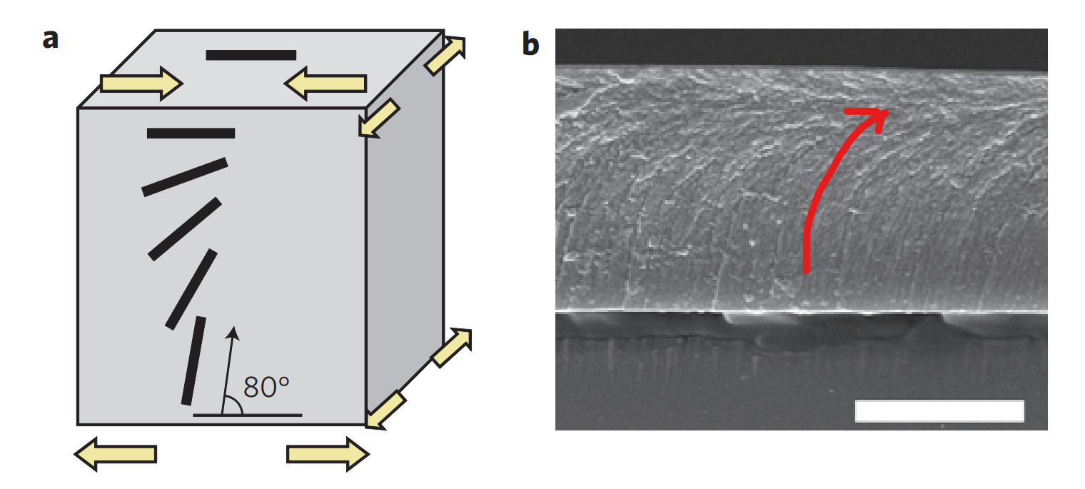 Gradual orientational change of liquid-crystalline units as the thickness changes of the film.