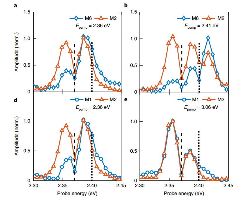 Amplitude spectra of different modes with exciton energy