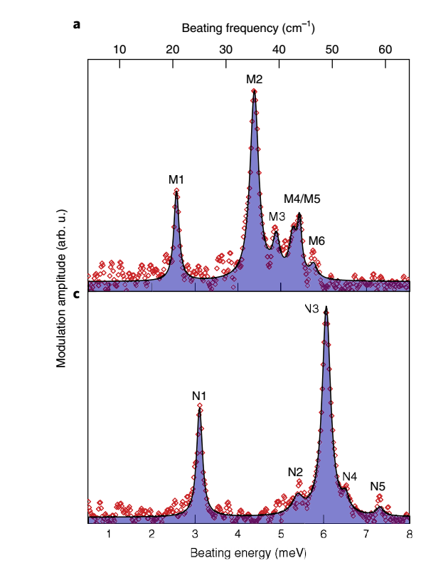 RISRS spectrumn at 5K and associated phonon modes.