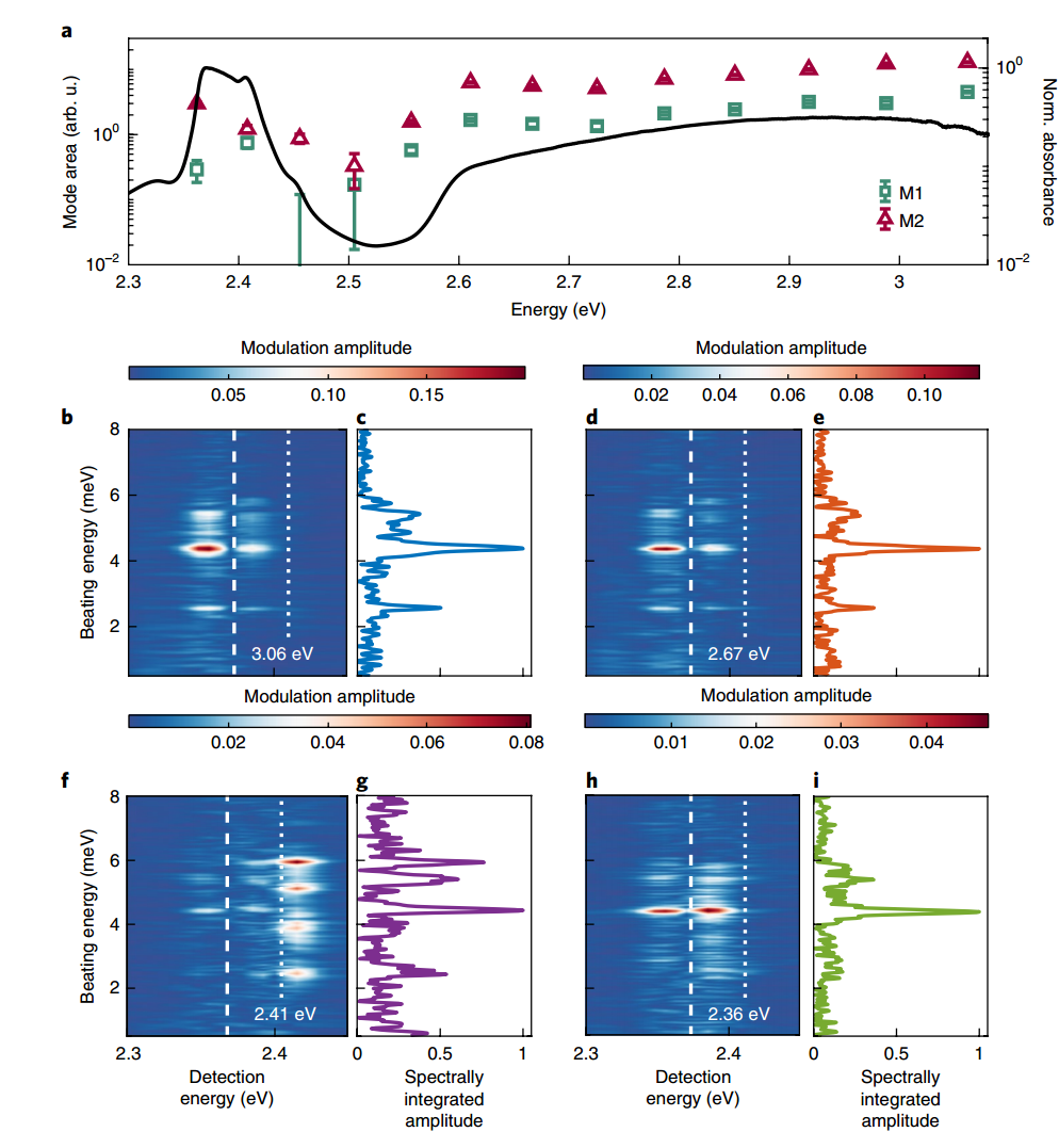 Pump wavelength dependence of (PEA)2PbI4 RISRS