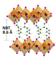  (a) Crystal structures of (NBT)2PbI4