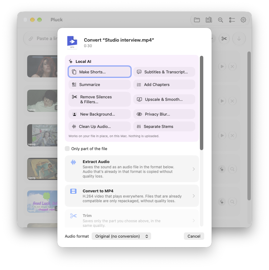 The convert window for a video from your Mac, with ten local AI actions: shorts, subtitles, summaries, chapters, removing silences, upscaling, new background, privacy blur, clean audio and stems