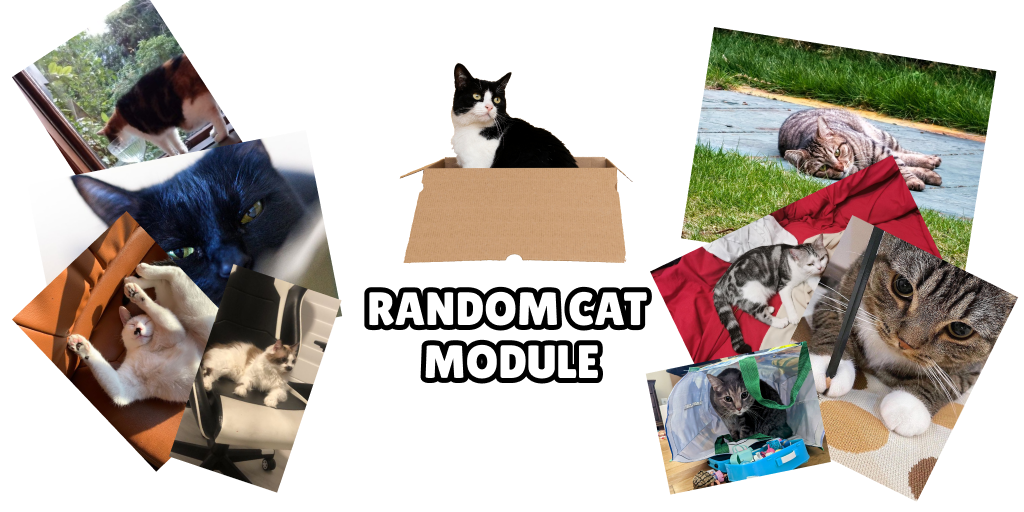 GitHub - Atom244/Random-Cat-Module: Python module for receiving random ...