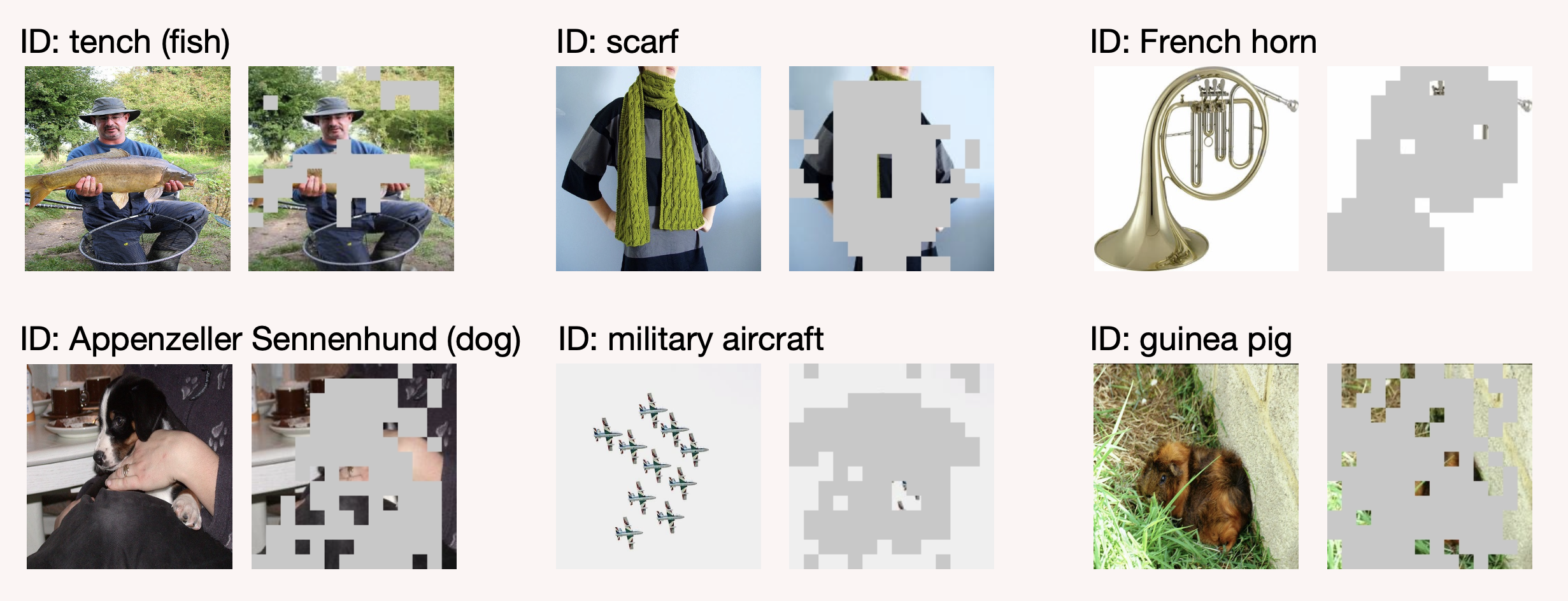 Visualization_figure