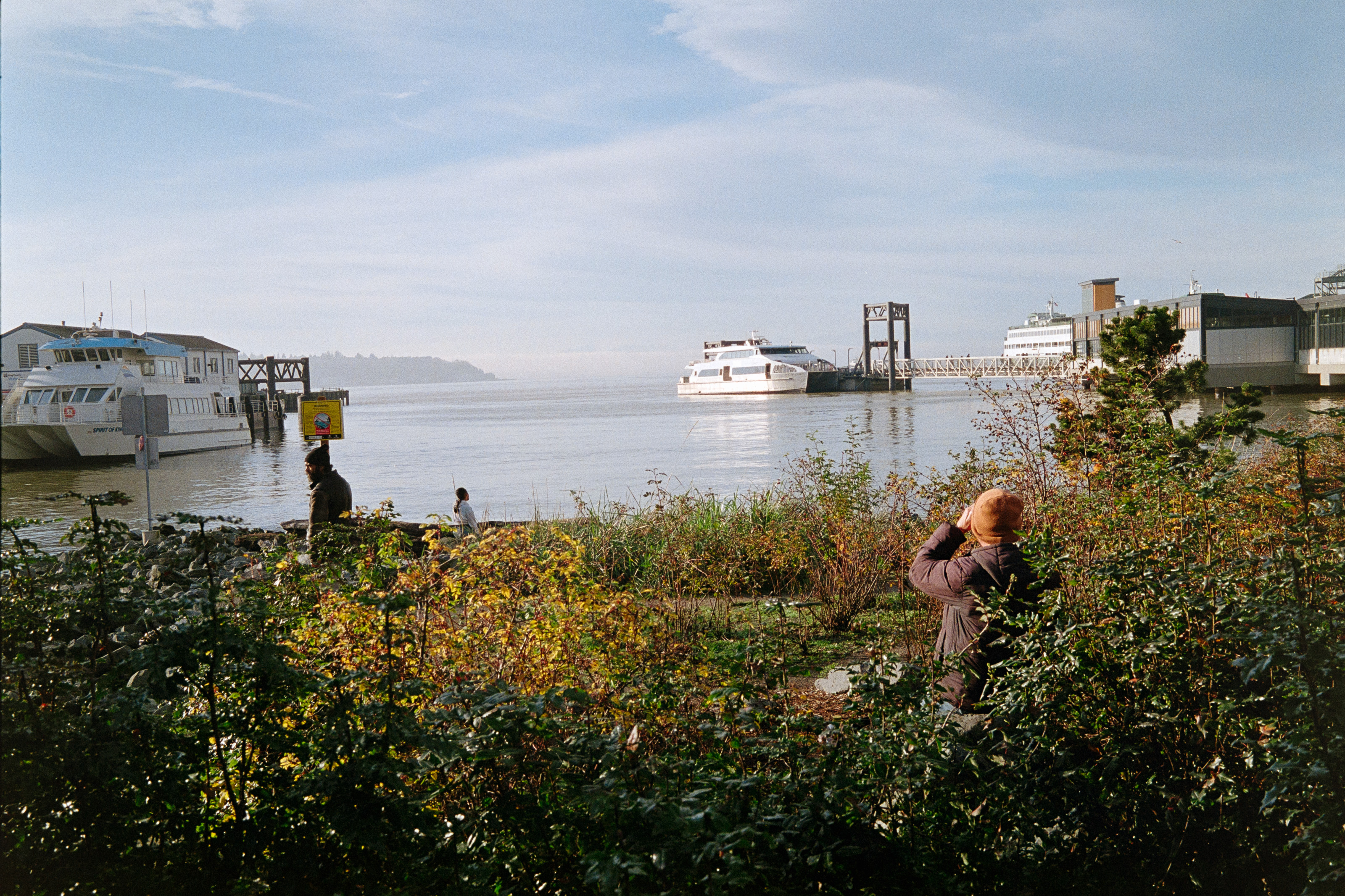 Ferry at the Waterfront
