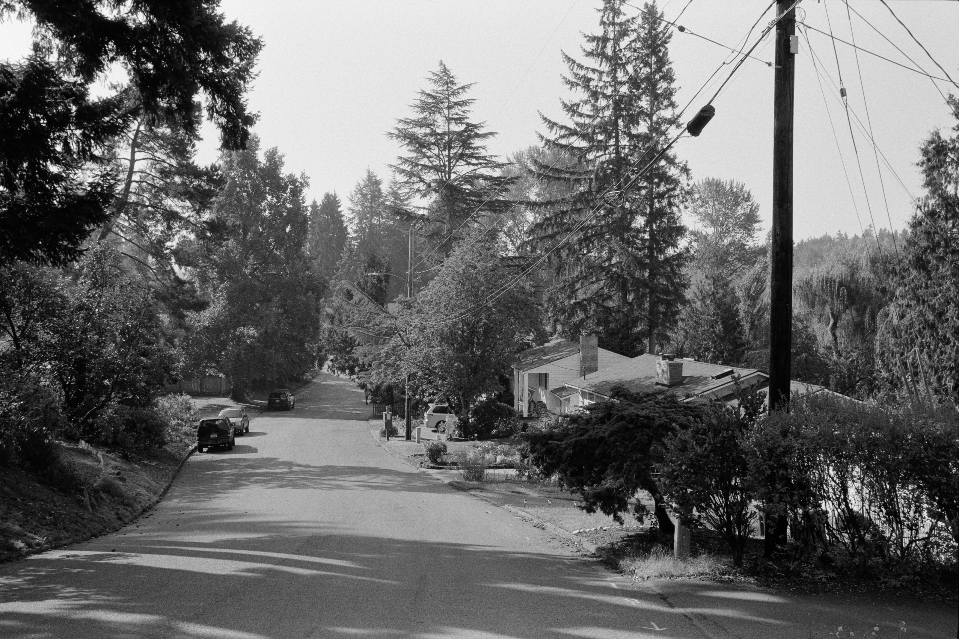 Neighborhood B&amp;W 1