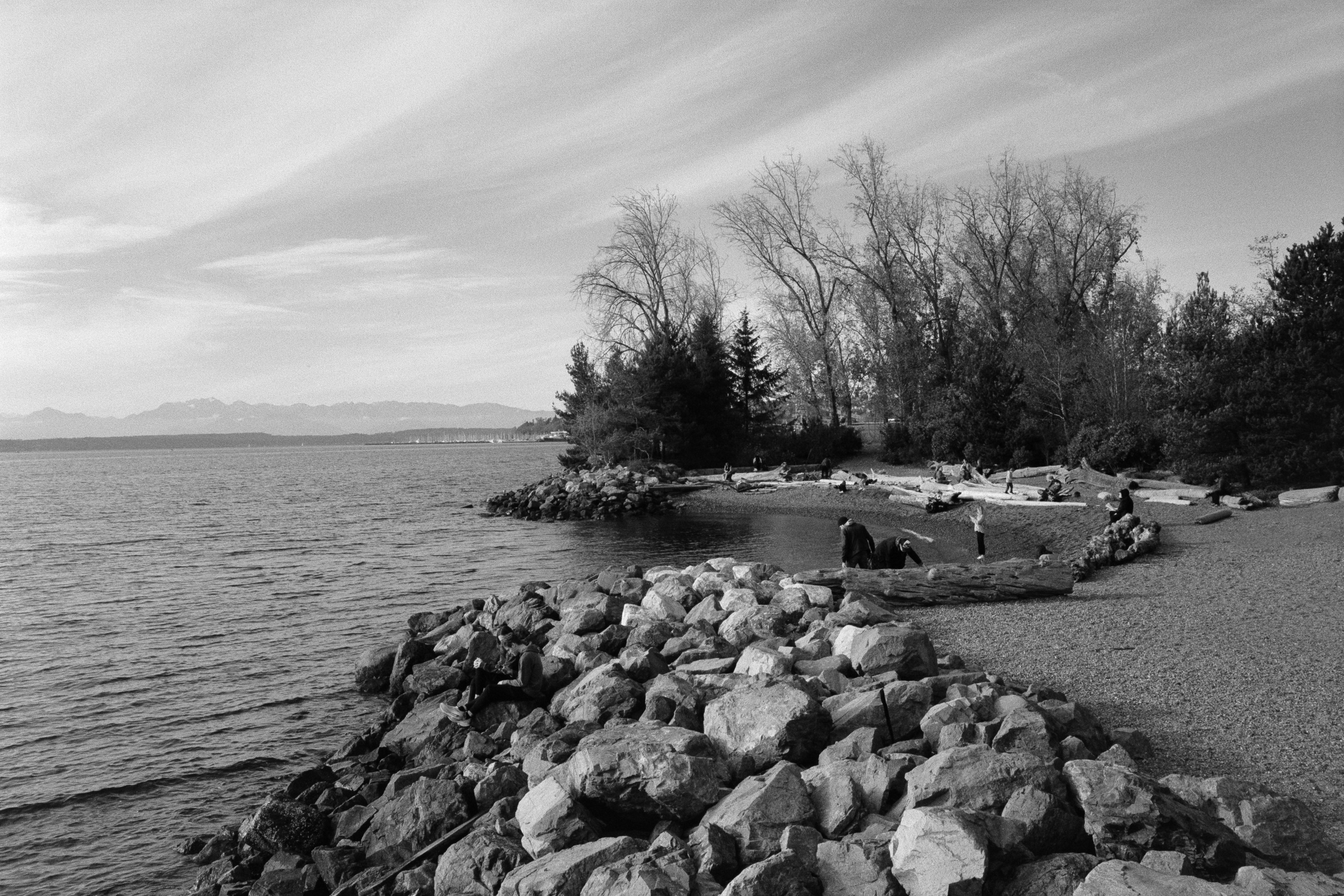 Olympic Sculpture Beach