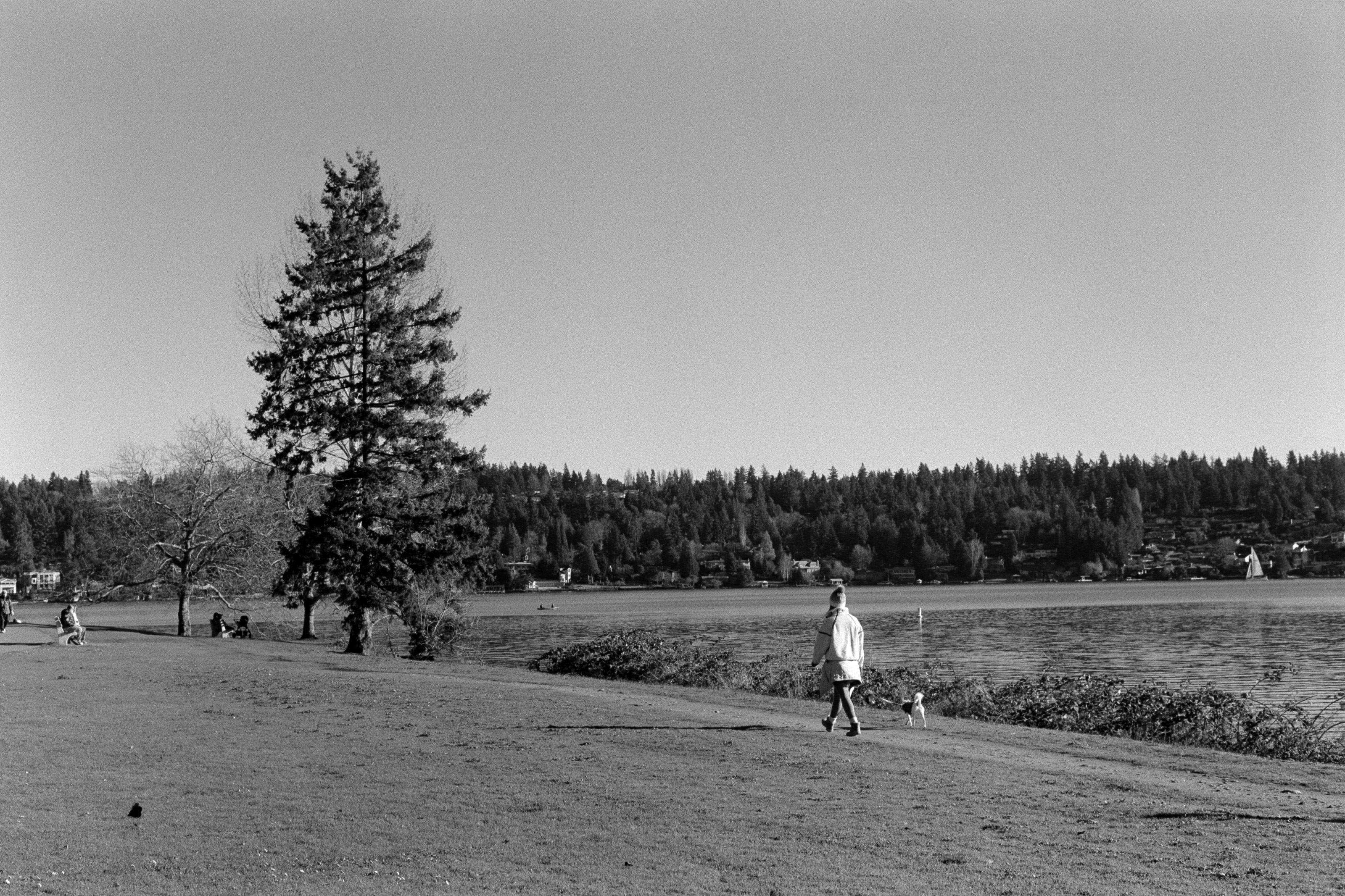 Walking at Seward Park