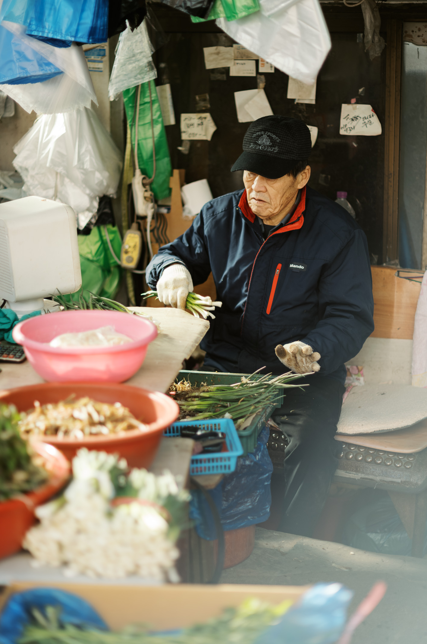 Korea Vendor with scallion