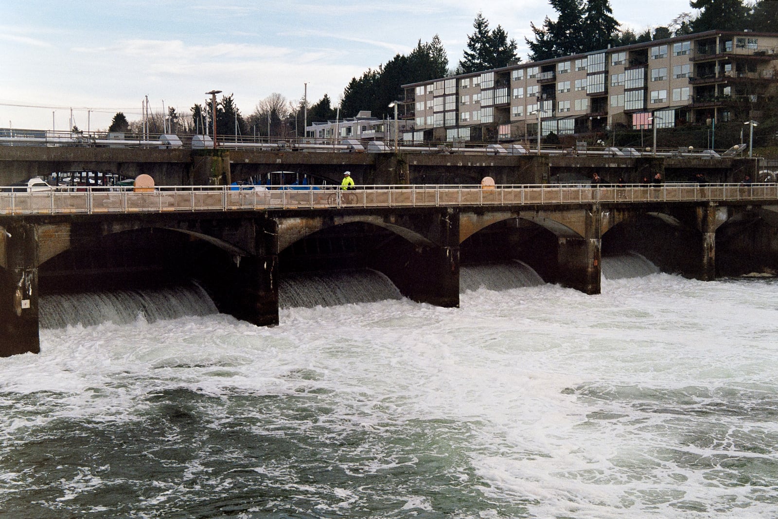 Fish Ladder
