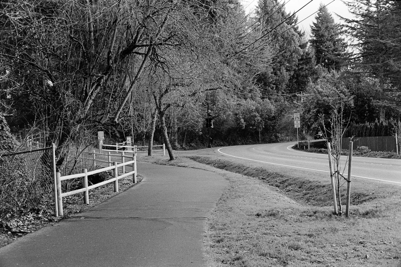 Pathway