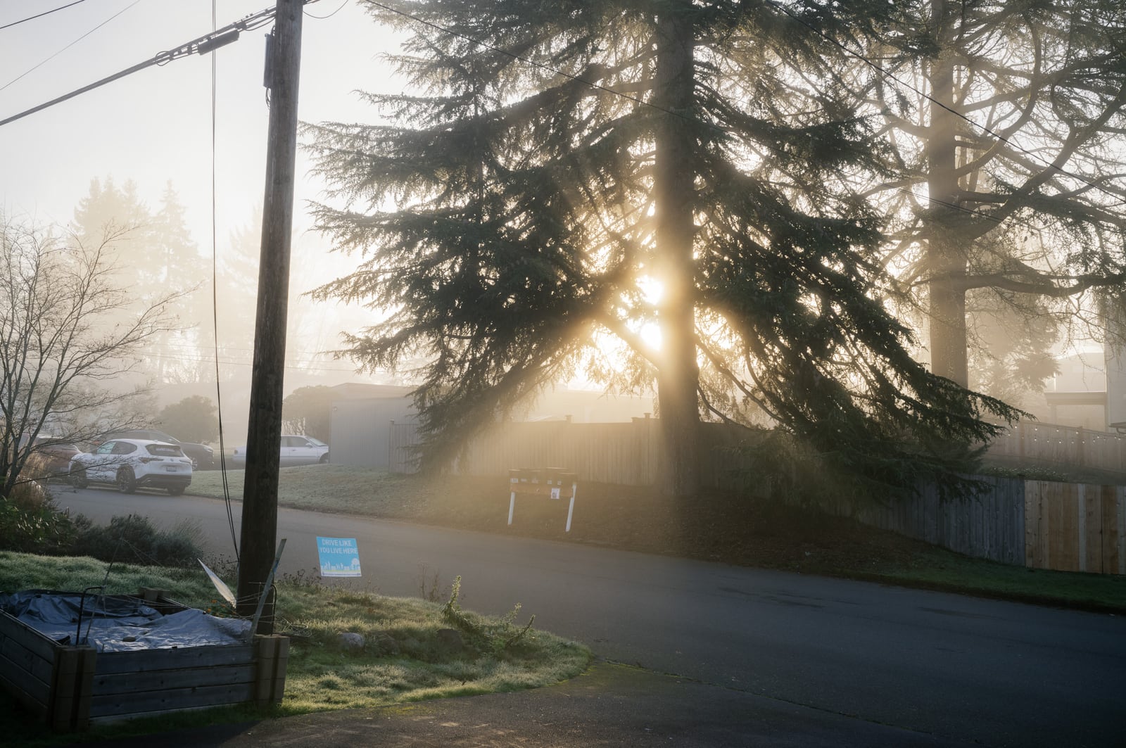 Morning Fog