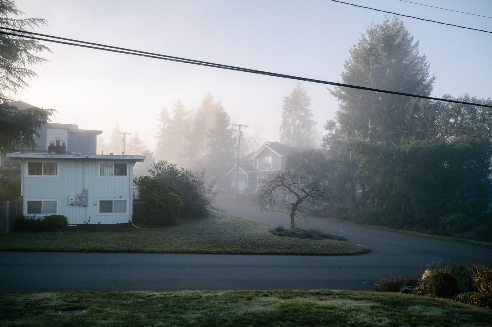 Morning Fog pt. 2