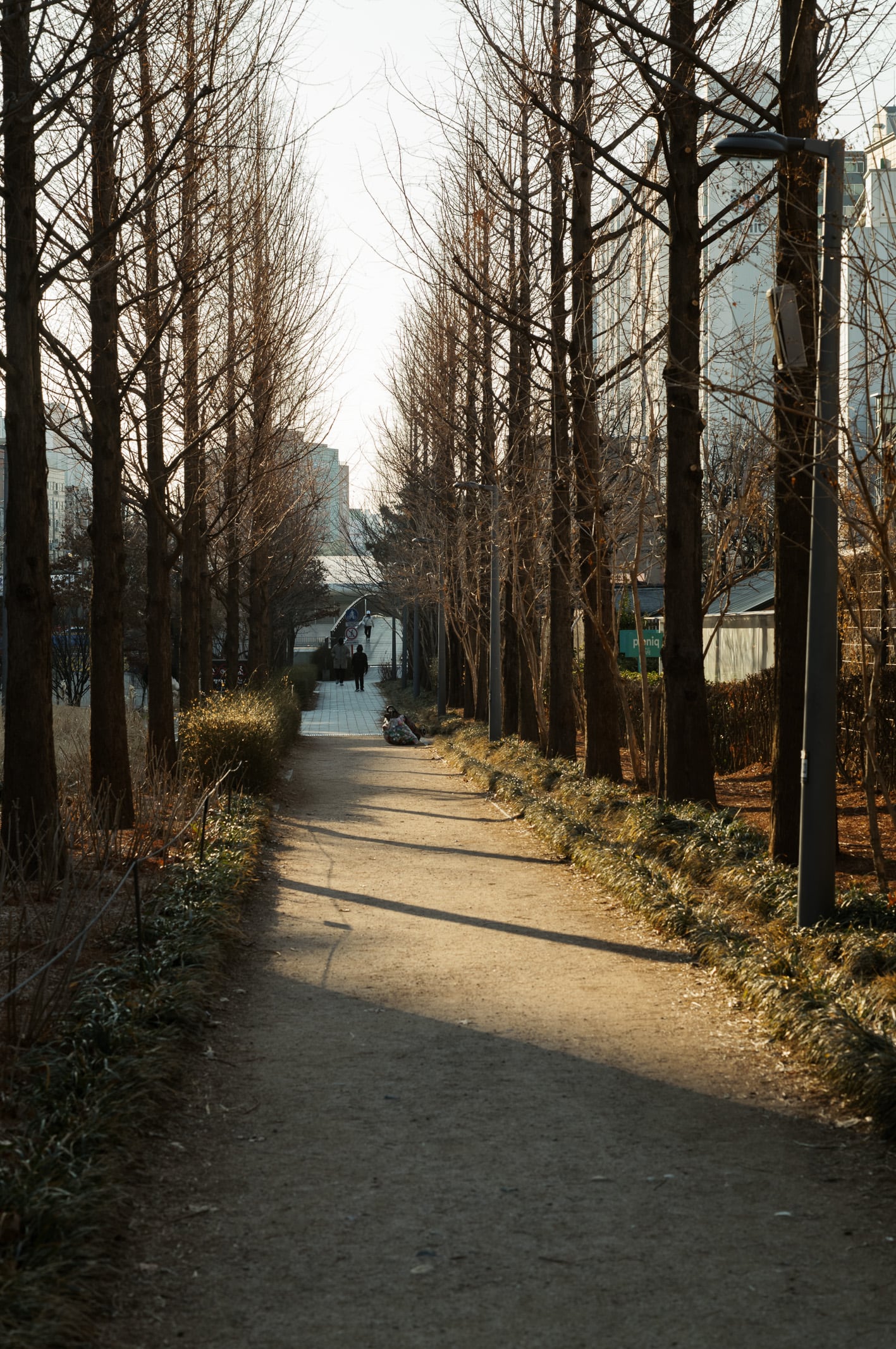 Walking Path
