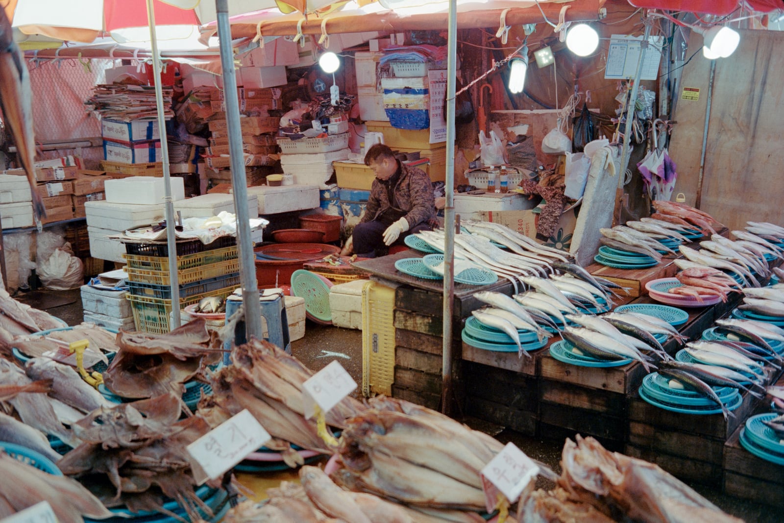 Busan fish market on film