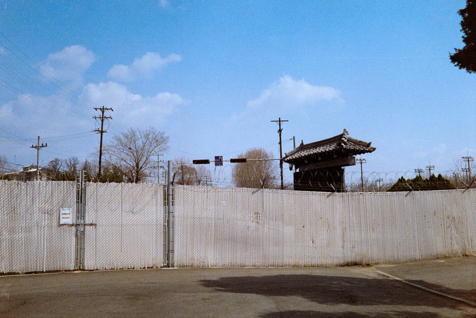 Favorite film photo from Korea