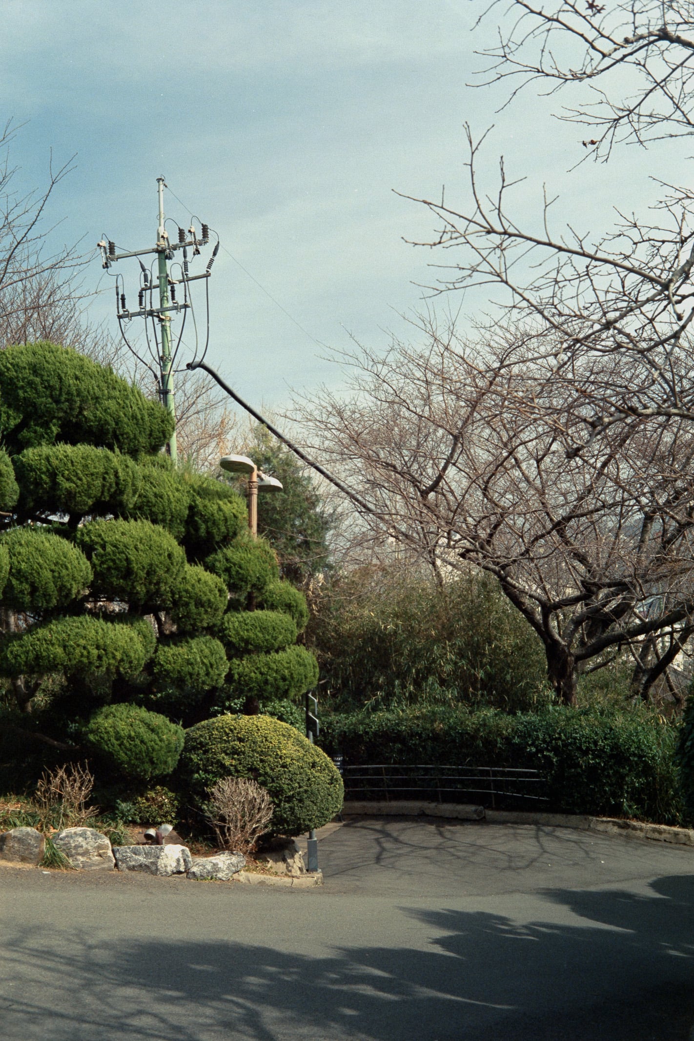 Korea street photo on film