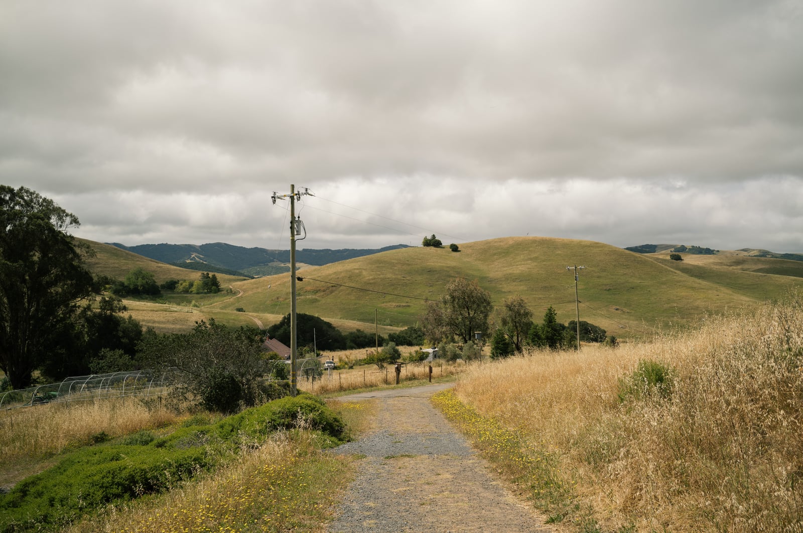Second photo from a Napa Valley trip
