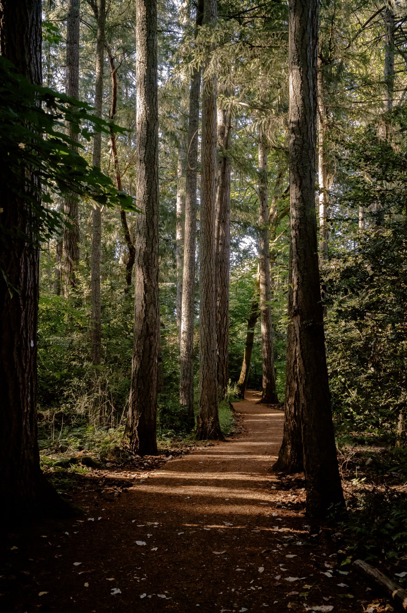 Walking trail near an office