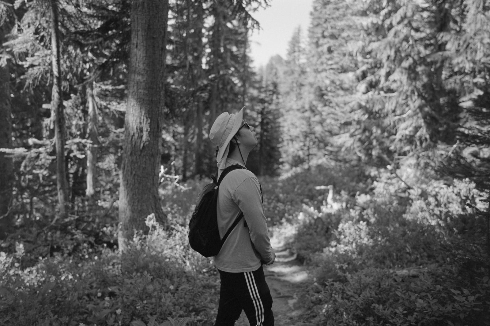 Summer scene near an office